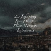 25 Relaxing Spa Music Mix: Dream Rainforest