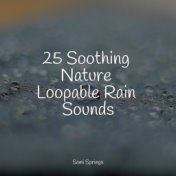 25 Soothing Nature Loopable Rain Sounds