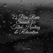 25 Pure Rain Sounds for Total Healing & Relaxation