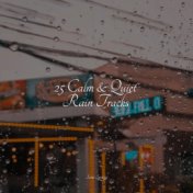 25 Calm & Quiet Rain Tracks