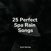 25 Perfect Spa Rain Songs