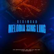 Berimbau Melodia Xing Ling