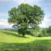 64 Thought Provoking Meditation