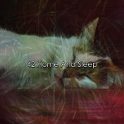 42 Home And Sleep