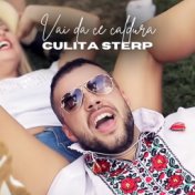 Culita Sterp