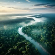 Звуки животных леса амазонии