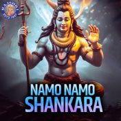 Namo Namo Shankara