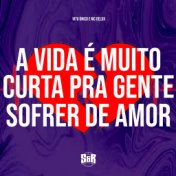 A Vida É Muito Curta pra Gente Sofrer de Amor