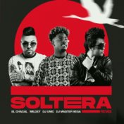 Soltera (Remix)