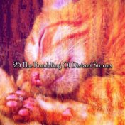 25 The Rumbling Of Distant Storms