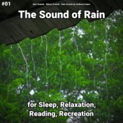 #01 The Sound of Rain for Sleep, Relaxation, Reading, Recreation