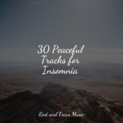 30 Peaceful Tracks for Insomnia