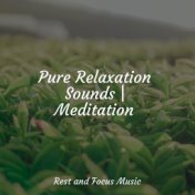 Pure Relaxation Sounds | Meditation