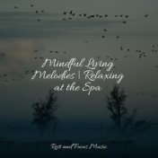 Mindful Living Melodies | Relaxing at the Spa