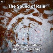 #01 The Sound of Rain for Relaxing, Bedtime, Yoga, Close Reading