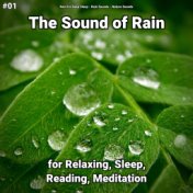 #01 The Sound of Rain for Relaxing, Sleep, Reading, Meditation