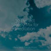 30 Perfect Sleepy Mix for Meditation