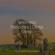 Wellness Melodies | Deep Sleep