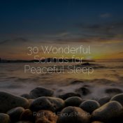30 Wonderful Sounds for Peaceful Sleep