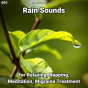 #01 Rain Sounds for Relaxing, Napping, Meditation, Migraine Treatment