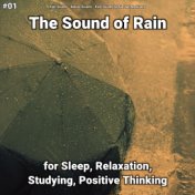 #01 The Sound of Rain for Sleep, Relaxation, Studying, Positive Thinking