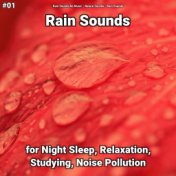 #01 Rain Sounds for Night Sleep, Relaxation, Studying, Noise Pollution