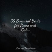 35 Binaural Beats for Peace and Calm