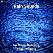 #01 Rain Sounds for Sleep, Relaxing, Yoga, Walking
