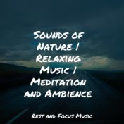 Sounds of Nature | Relaxing Music | Meditation and Ambience