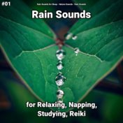 #01 Rain Sounds for Relaxing, Napping, Studying, Reiki