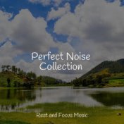 Perfect Noise Collection