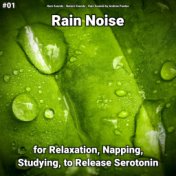 #01 Rain Noise for Relaxation, Napping, Studying, to Release Serotonin