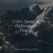 Calm Sleep & Relaxation Tracks