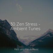 30 Zen Stress - Ambient Tunes