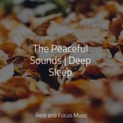 The Peaceful Sounds | Deep Sleep