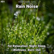 #01 Rain Noise for Relaxation, Night Sleep, Wellness, Burn-Out