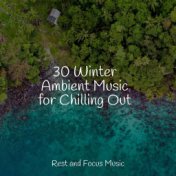 30 Winter Ambient Music for Chilling Out