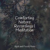 Comforting Nature Recordings | Meditation