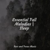 Essential Fall Melodies | Sleep