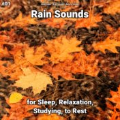 #01 Rain Sounds for Sleep, Relaxation, Studying, to Rest