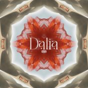 Dalia