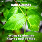 #01 Rain Sounds for Sleeping, Relaxation, Studying, Noise Pollution