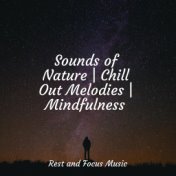 Sounds of Nature | Chill Out Melodies | Mindfulness