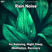 #01 Rain Noise for Relaxing, Night Sleep, Meditation, Recovery