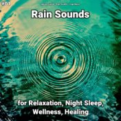 #01 Rain Sounds for Relaxation, Night Sleep, Wellness, Healing