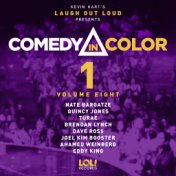 Comedy in Color, Vol. 8