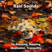 #01 Rain Sounds for Relaxing, Napping, Meditation, Tranquility