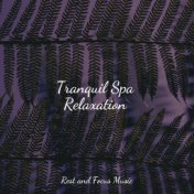 Tranquil Spa Relaxation