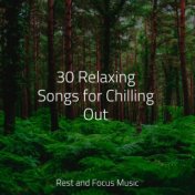 30 Relaxing Songs for Chilling Out