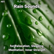 #01 Rain Sounds for Relaxation, Sleeping, Meditation, Inner Strength